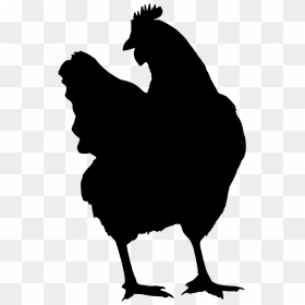Chicken Clipart , Png Download - Scalable Vector Graphics, Transparent Png - chicken silhouette png