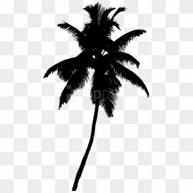 Free Png Palm Tree Silhouette Png - Palma De Cera Png, Transparent Png - palm trees silhouette png