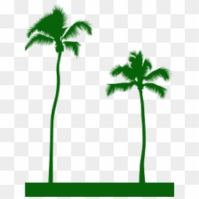 Portable Network Graphics, HD Png Download - palm trees silhouette png