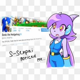 Tweets Following Followers 2,684 62 174k Following - Sonic Freedom Planet Lilac, HD Png Download - sash png