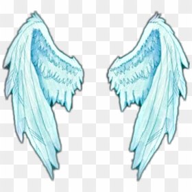 Angel Wings Overlays , Png Download - Angel Wings Overlay, Transparent Png - angle wings png