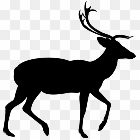 Deer Vector Graphics Clip Art Illustration Image - Deer Silhouette Png, Transparent Png - baby deer png