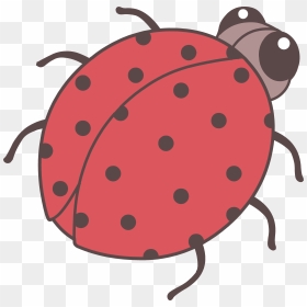 Cartoon Ladybug Clipart - Lady Bug, HD Png Download - ladybug clipart png