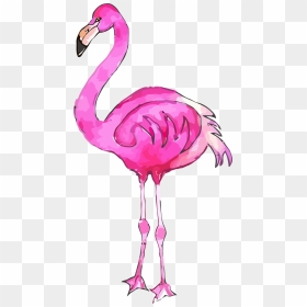 Greater Flamingo, HD Png Download - flamingo clipart png