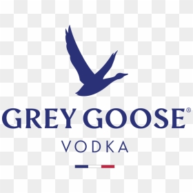 Greygoose Primary Standard Pos Rgb - Grey Goose Logo 2020, HD Png Download - grey goose png