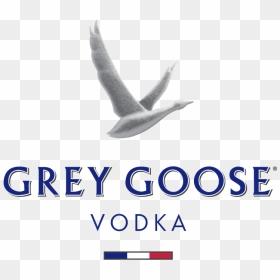 Transparent Grey Goose Vodka Logo, HD Png Download - grey goose png