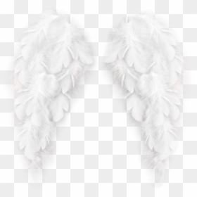 @arianasmoonlxght - Fur Clothing, HD Png Download - angle wings png