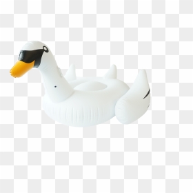 Duck, HD Png Download - pool float png