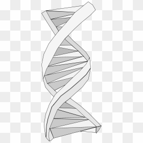 Dna Origami Clip Arts - Stairs, HD Png Download - origami png
