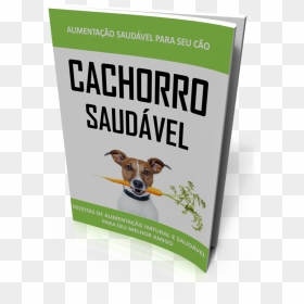 E-book Cachorro Saudavel - Companion Dog, HD Png Download - cachorro png