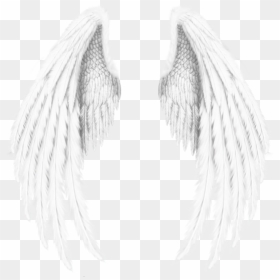 #angle #anglewings #wings #freetoedit #freetoedit - Angel Wings Black Background, HD Png Download - angle wings png