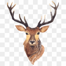 Cartoon Long Horned Deer Transparent Free Buckle Png - Deer Illustration, Png Download - baby deer png