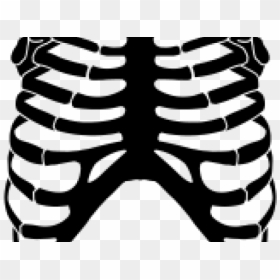 Rib Cage Png Transparent Images - Skeleton Rib Cage Clipart, Png Download - rib cage png