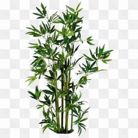 - Arquitectura - Paisajismo - Artificial Bamboo Plant, HD Png Download - plantas png