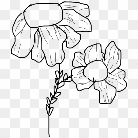 #doodle #flower #flowerdoodle #daisy #daisydrawing, HD Png Download - flower doodle png