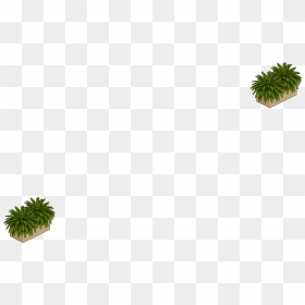 Plantas - Illustration, HD Png Download - plantas png