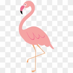 Water Bird, HD Png Download - flamingo clipart png