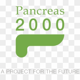 Pancreas 2000, HD Png Download - codigo de barra png