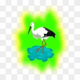 Barza Clipart, HD Png Download - flamingo clipart png