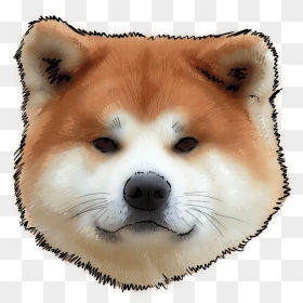 43 Why Are You An Akita - Transparent Akita Head, HD Png Download - cachorro png