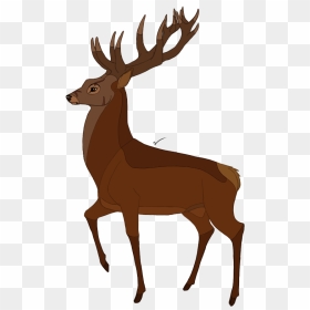 Drawing Deer Bambi Huge Freebie Download For Powerpoint - Bambi White Tailed Deer, HD Png Download - baby deer png