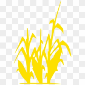 District 7 Hunger Game Poster, HD Png Download - corn field png