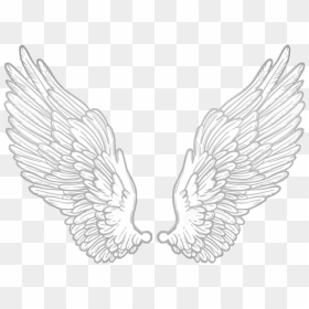 #wing #wings #angel #anglewings #white #alone #cute - Dripping Effect For Picsart Wings, HD Png Download - angle wings png