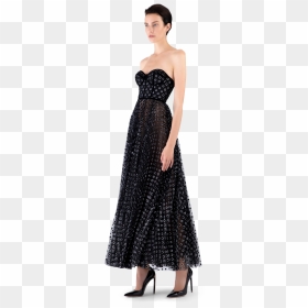Photo Shoot, HD Png Download - black fashion model png
