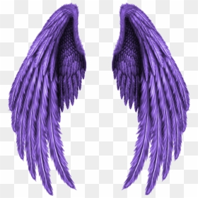 #real #wings #angle #wing #fly #black #bright #fantasy - Transparent Broken Angel Wings, HD Png Download - angle wings png