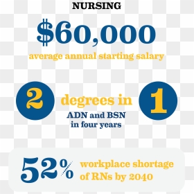 Nursing Statistics - Graphic Design, HD Png Download - nursing png