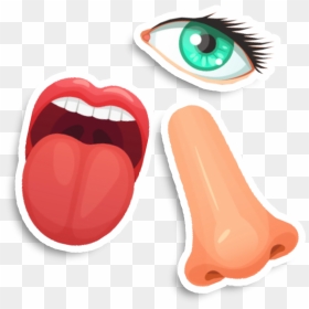 Eyes - Avoid Touching Eye Nose And Mouth, HD Png Download - scared eyes png