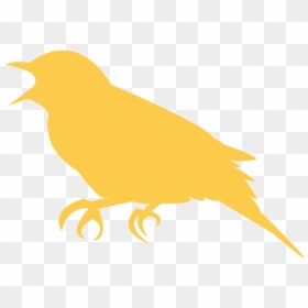 Student, Png Download - Canary, Transparent Png - student silhouette png