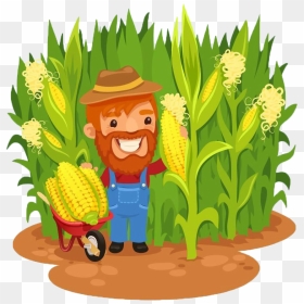 Maize Farmer Field Clip - Cartoon Corn Field, HD Png Download - corn field png