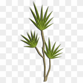 Desert Shrub Clipart , Png Download - Clip Art, Transparent Png - desert bush png