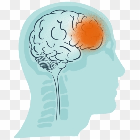 1 - Illustration, HD Png Download - brains png
