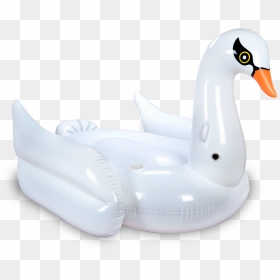 Swan Pool Float By Mimosa Inc - Duck, HD Png Download - pool float png