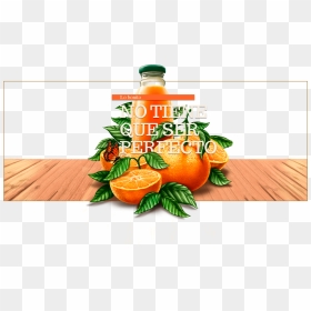 Arbol Mandarinas Tunez - Jugos Tunez, HD Png Download - jugos png