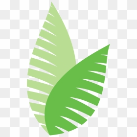 Ecodesign Pflanze Farn - Ecodesign Png, Transparent Png - sugar cane png