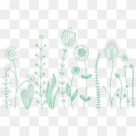 Green Drawing Chrysanthemum - Transparent Background Flowers Black Png ...