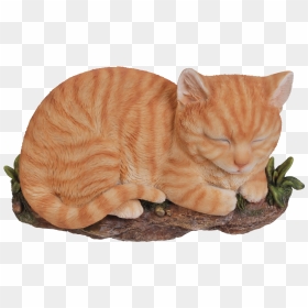 Rl Sleeping Cat Ginger B - Tabby Cat, HD Png Download - sleeping cat png