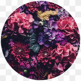 🌹  #floral #flowers #circle #aesthetic #background - Pink Purple Flower Aesthetic Header, HD Png Download - floral circle png
