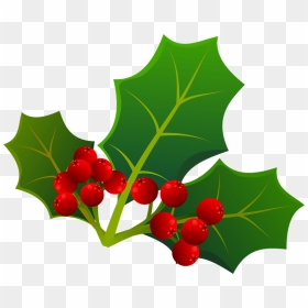 Holly Leaf Clipart - American Holly, HD Png Download - holly leaf png