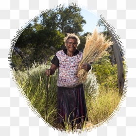Grass, HD Png Download - desert bush png