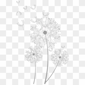 Dandelions Clipart - Barberton Daisy, HD Png Download - dandelions png