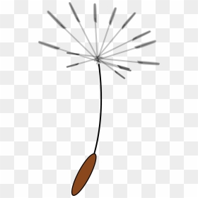 Clip Art Dandelion Seed, HD Png Download - dandelions png