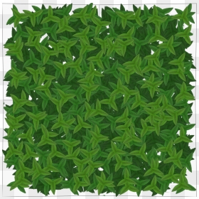 0001-0135 - Grass, HD Png Download - leaf texture png