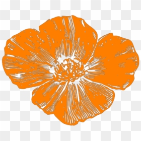 Peach Poppies Png Icons - Poppies Png, Transparent Png - poppies png