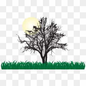 Tree Euclidean Vector Illustration - Cool, HD Png Download - sunrise clipart png