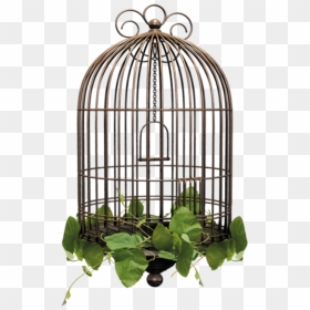 #birdcage #cage - Transparent Background Bird Cage Png, Png Download - birdcage png