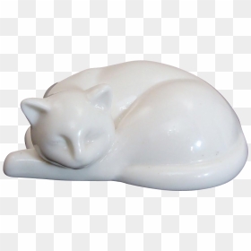 Siamese, HD Png Download - sleeping cat png